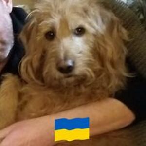 rickbethmartin avatar