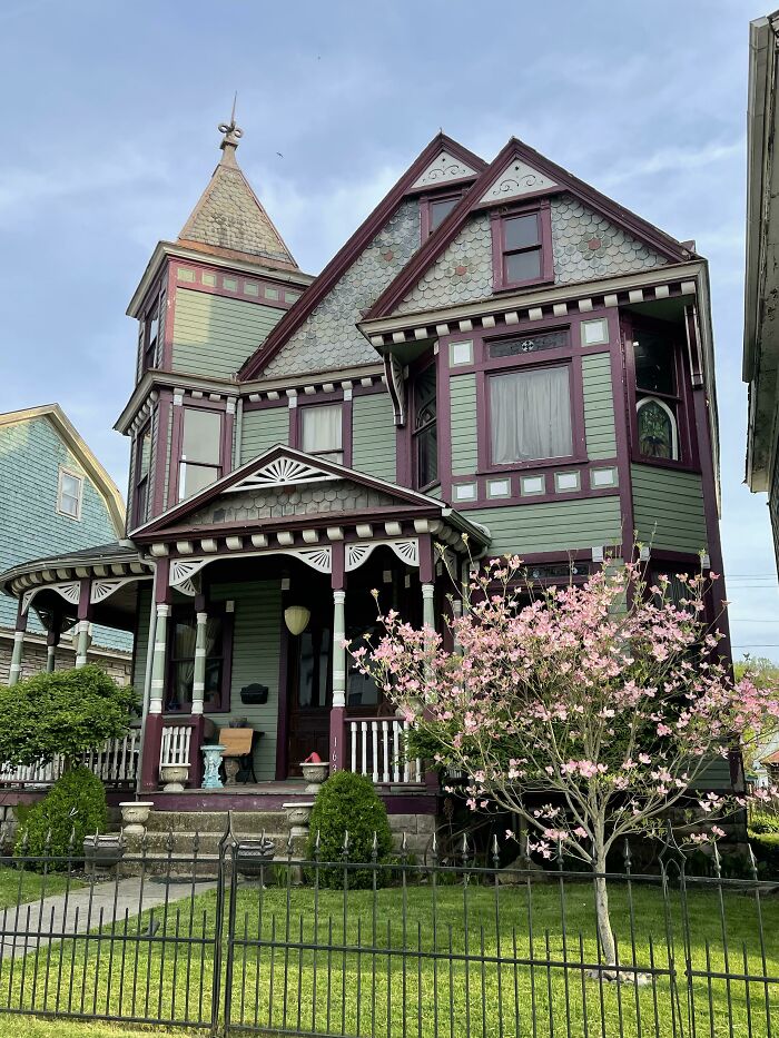 Dogwood In Bloom. This Is My 1895 Queen Anne Still Working On Restoring