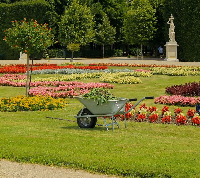 Wheelbarrow In Park 