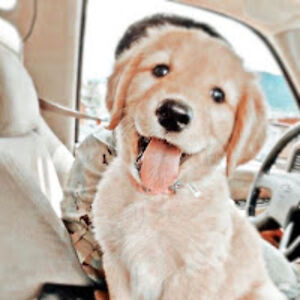 michellenwabuoku avatar