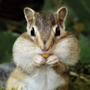 kendramiller_1 avatar