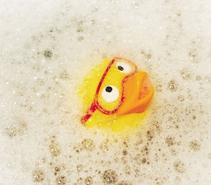 Yellow plastic duck into the water