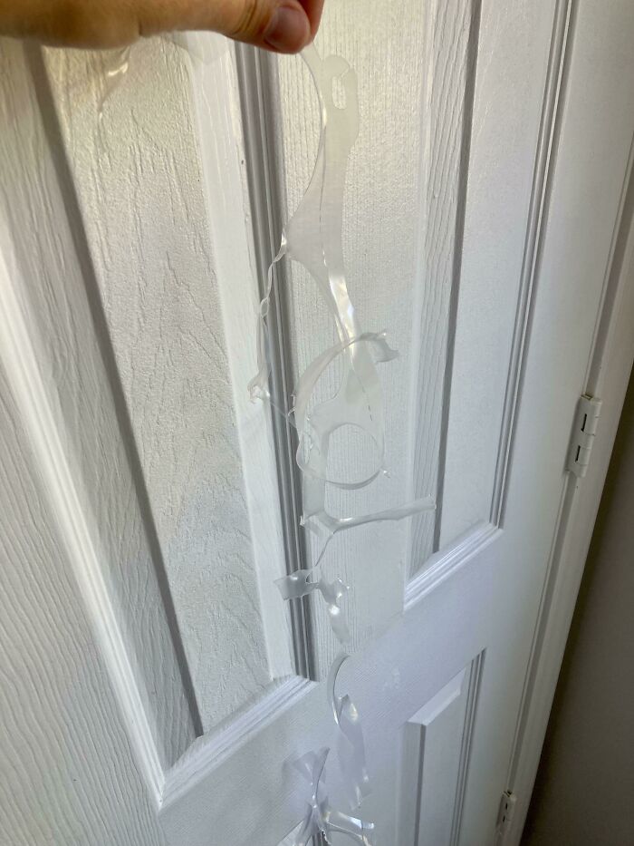 Cheerfully Snipping Some Plastic Soda Packaging To ~save The Turtles~ And Realizing I Fully Expect This To End Up In The Ocean