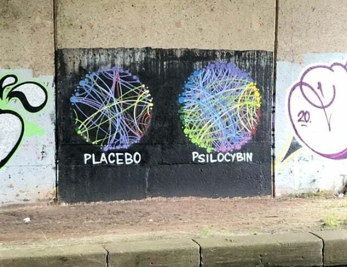 Graffiti art on a concrete wall depicting colorful neural network illustrations labeled placebo and psilocybin.