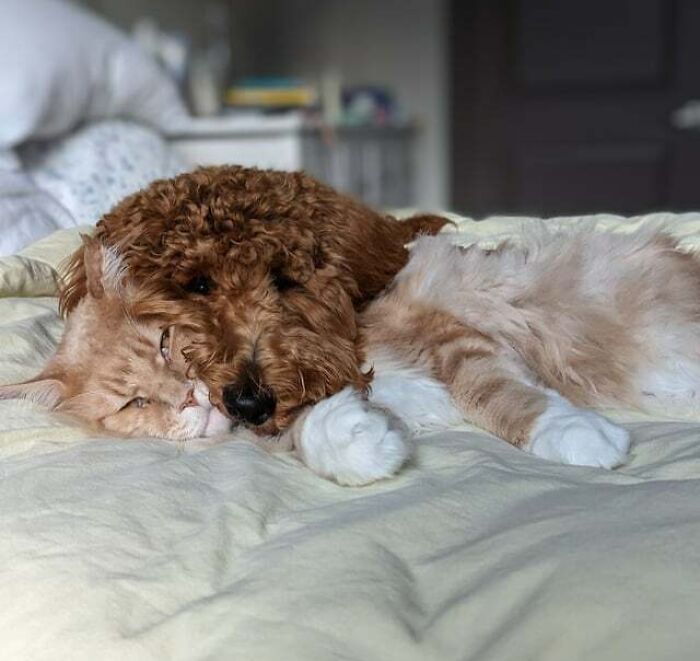 I Think They Finally Love Each Other