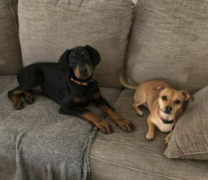 Hansel And Gretta. These Two Are Inseparable