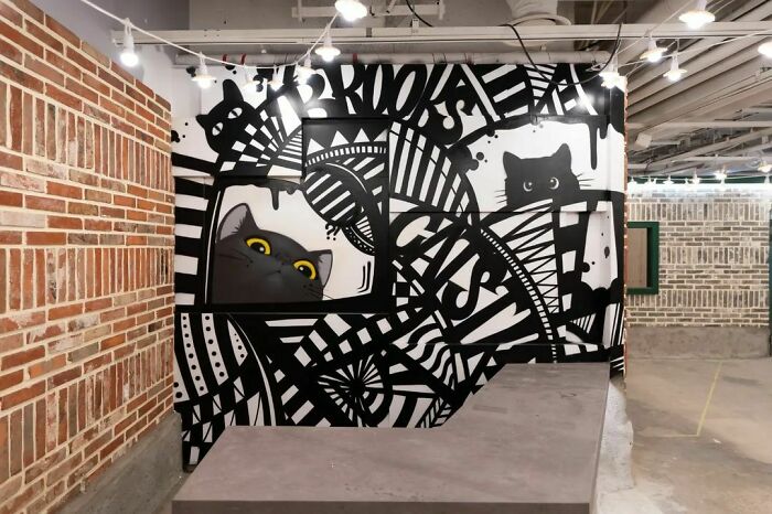 Black and white creative graffiti art featuring cats on a wall turning a blank space into admired artwork.
