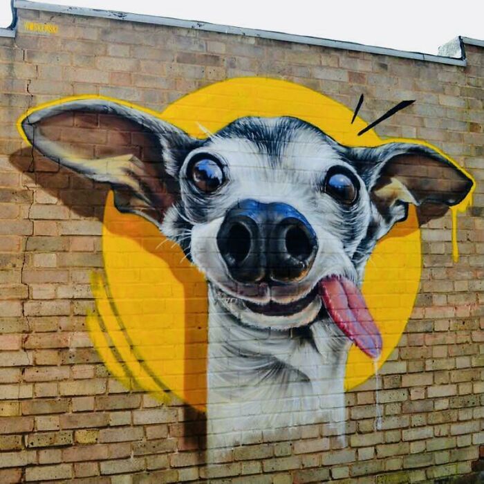 Graffiti art of a playful dog with large eyes and tongue out painted on a brick wall, showcasing creative street art.
