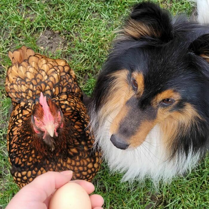 What Are The Two Thinking?