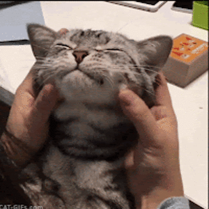 oliviaschulze-student avatar