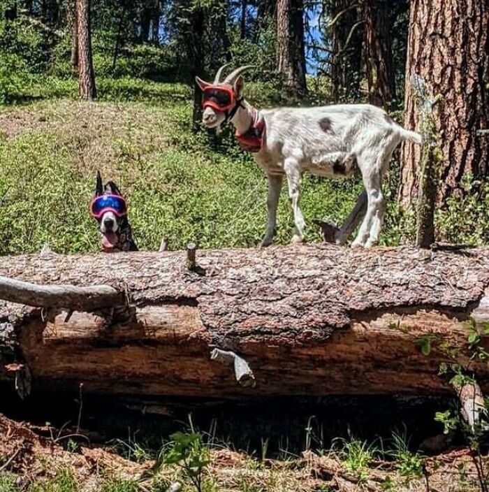 This Adventure Duo Is Way Cooler Than I'll Ever Be