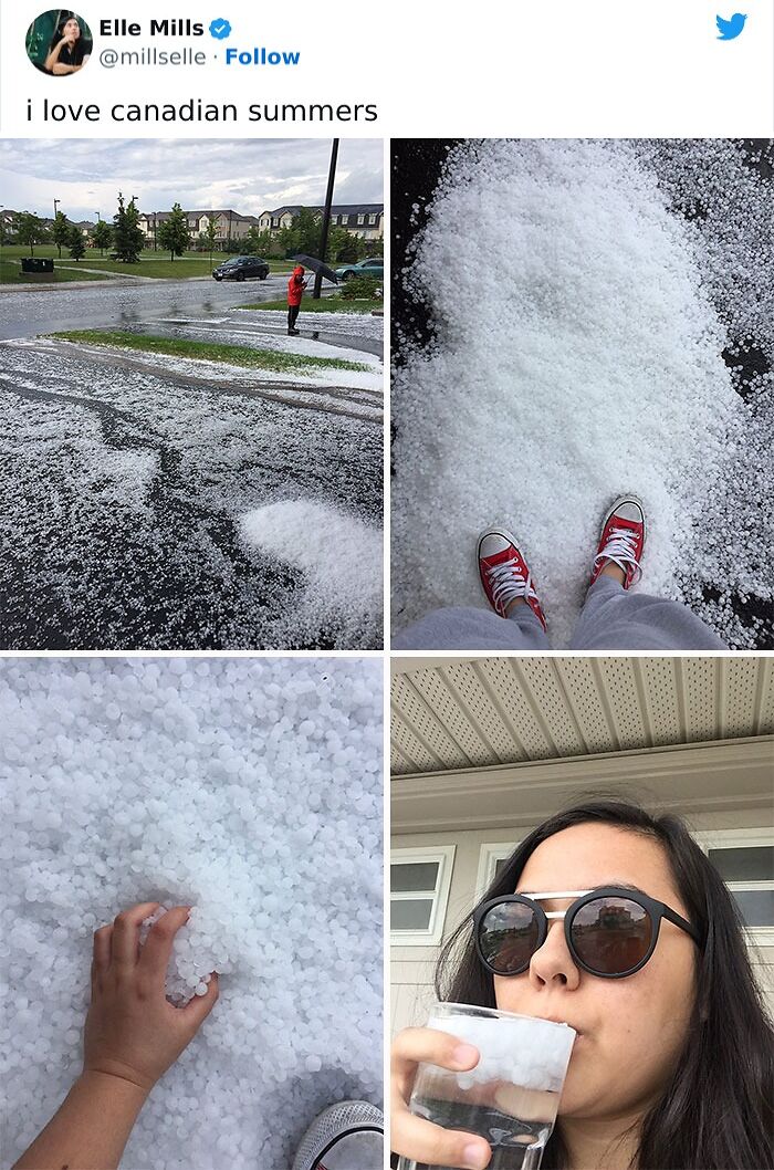 Funny-Canadian-Tweets