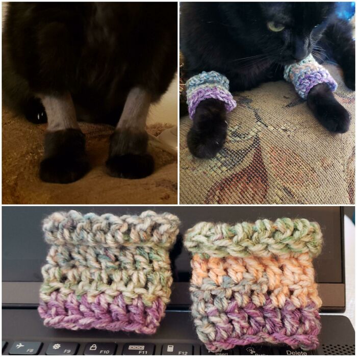 Black cat wearing colorful knitted paw covers shown with close-up of paws and the paw covers separately, cute cats accessories.