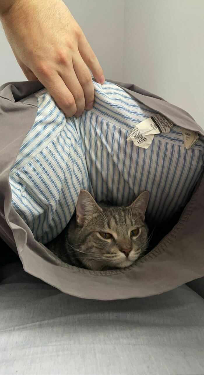 My Pillow Was Lumpy And Made A Noise