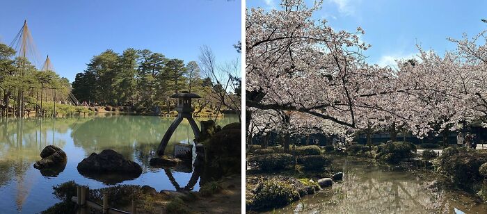 Tranquil views of famous gardens featuring serene ponds, traditional lanterns, and blooming cherry blossom trees under clear skies.