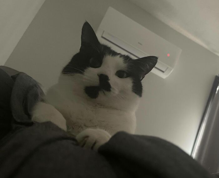 I Normally Feed Him At 5:30am. It Was 5:35am And I Was Still In Bed So I Got This Look