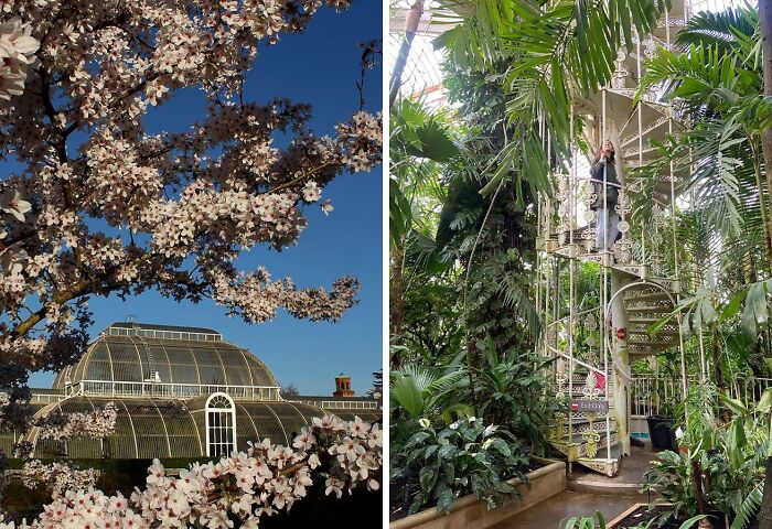 Glass greenhouse surrounded by blooming trees and a spiral staircase in a lush famous garden filled with tropical plants.