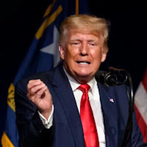 deacontomlinson avatar