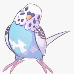 porteryeagley avatar