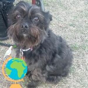 laura_schweppe avatar