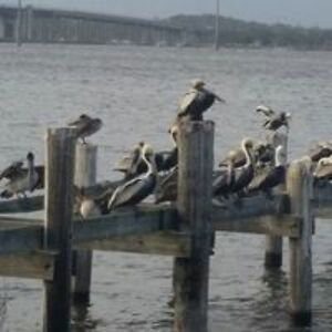 marywiggenhorn avatar