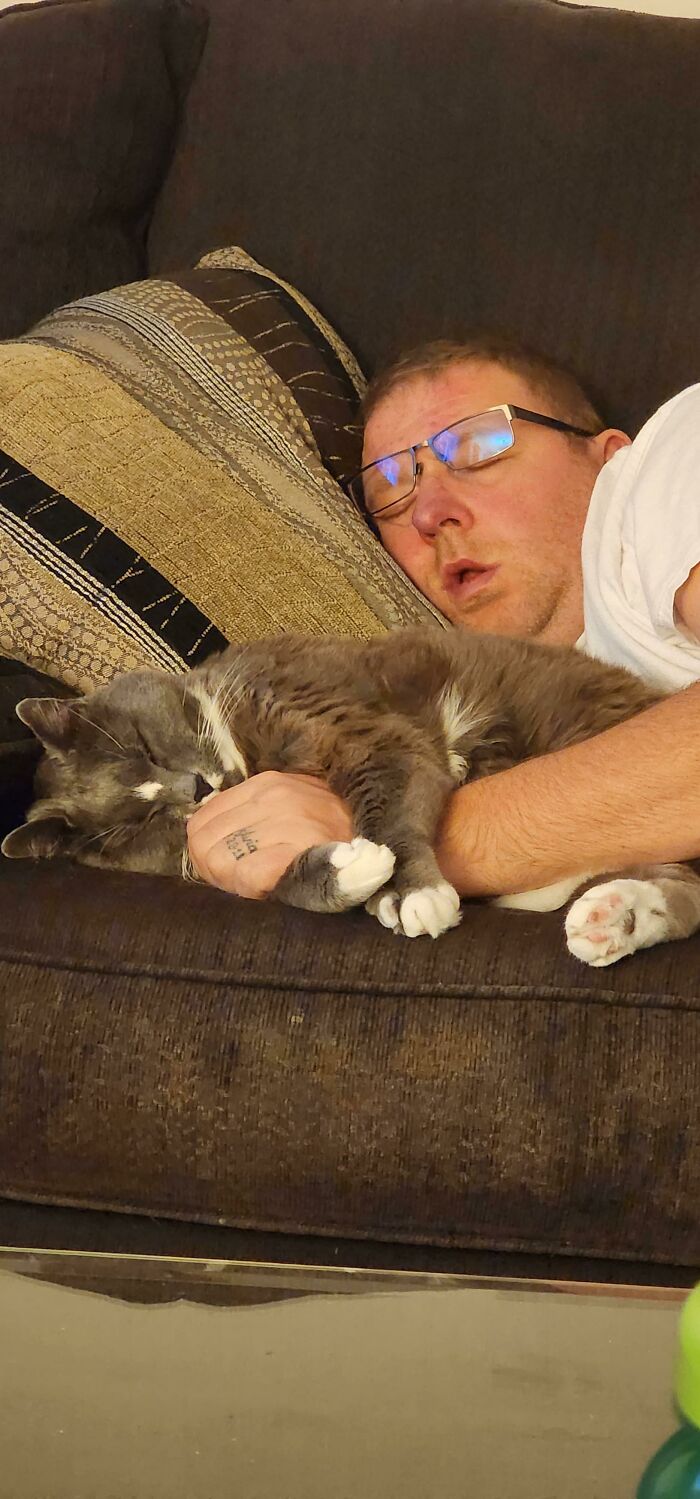 Man sleeping on a couch while holding one of the cutest cats ever, a gray and white cat cuddled peacefully.