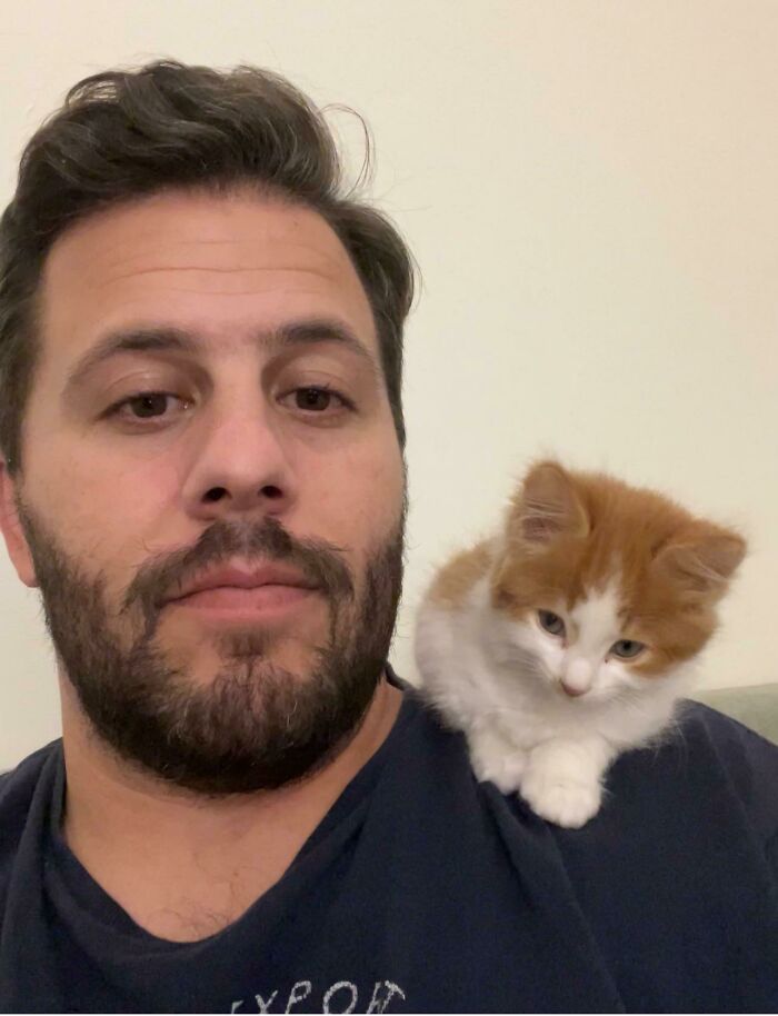 First Time Cat Owner, Are They Always This Cute??