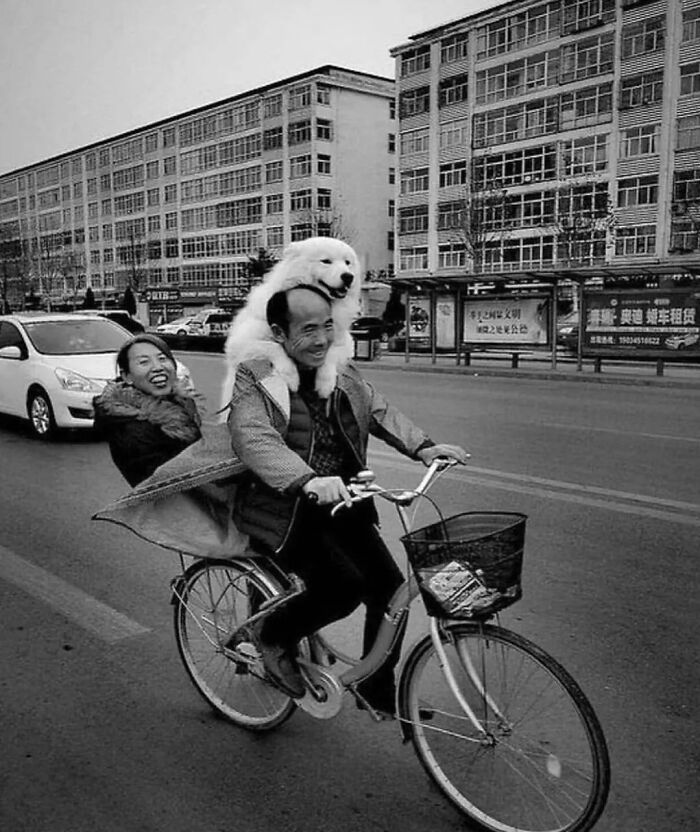 Man cycling with a fluffy dog on his shoulders and a woman laughing behind, showcasing an amusing photo moment.