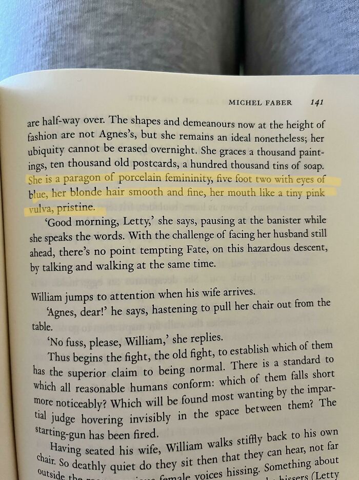 Is This Really The Best Description He Could Come Up With? (The Crimson Petal And The White By Michael Farber)