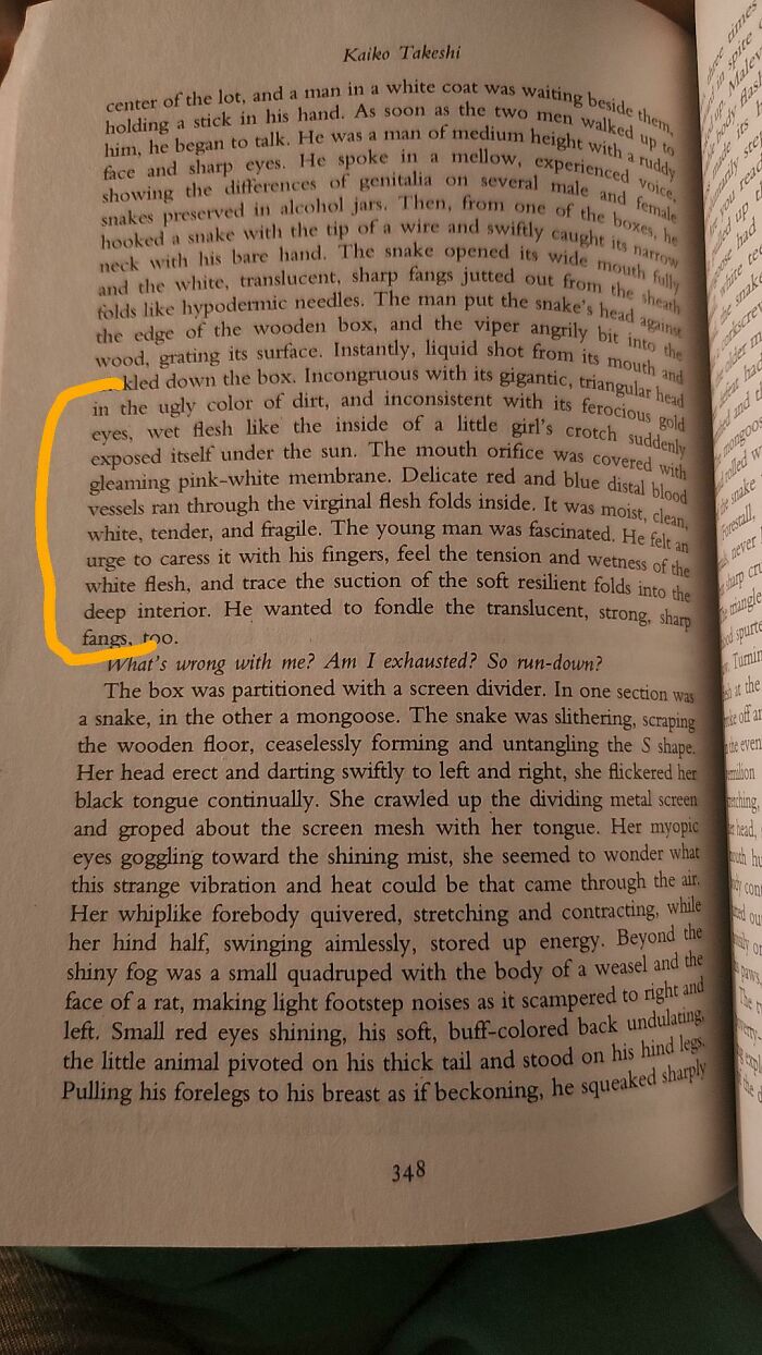 From The Duel, A Short Story By Kaiko Takeshi