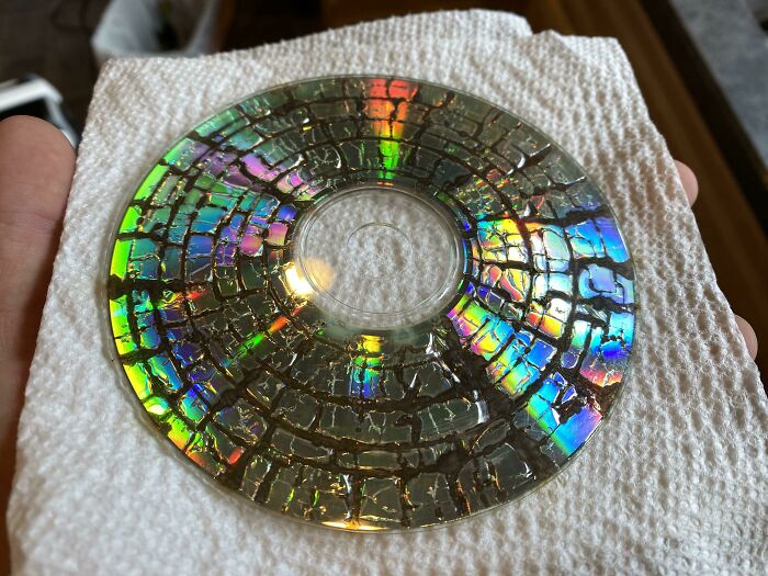 My Dad Told Me To Put A CD In The Microwave