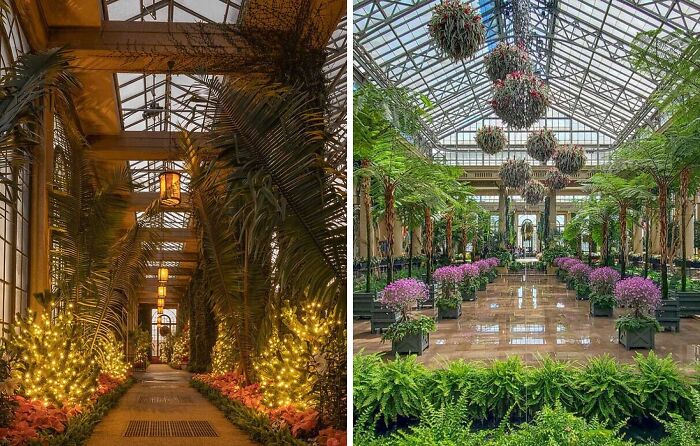 Indoor famous garden pathways decorated with lush plants, lights, and vibrant flowers under glass ceilings.