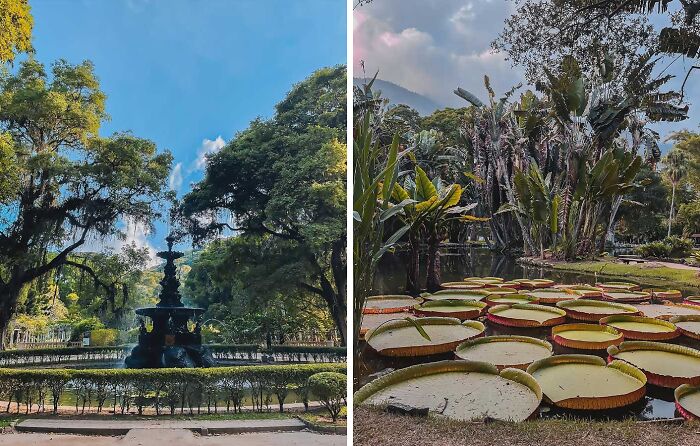 Left side of the image shows a garden with a fountain surrounded by greenery under a blue sky, famous gardens scenery. Right side features large lily pads in a pond.