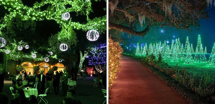 Nighttime view of famous gardens with glowing hanging lanterns and illuminated tree-shaped light displays along a pathway.