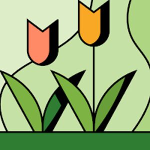 candacetaylor avatar