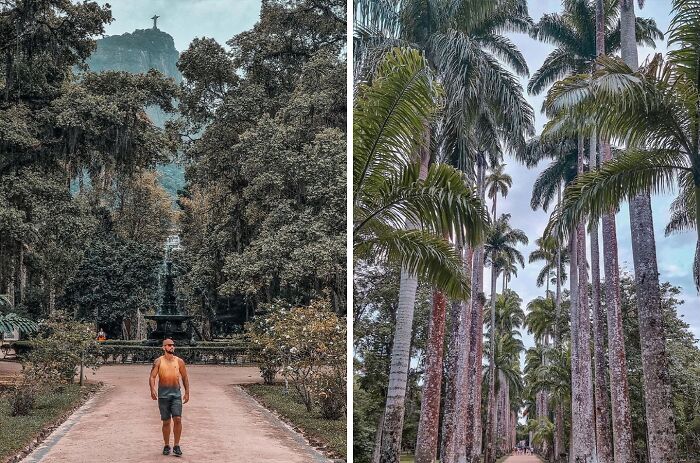 Man walking through a lush famous garden pathway with tall palm trees and dense greenery in a heavenly garden setting.
