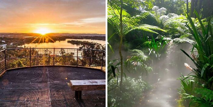 Sunset view over a scenic famous garden with lush greenery and mist creating a heavenly atmosphere among tropical plants.
