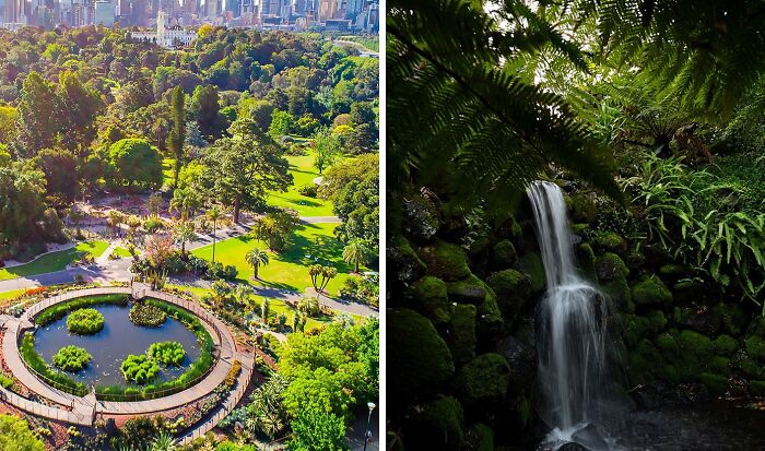 Aerial view of a famous garden with circular pond and lush greenery beside a serene waterfall surrounded by ferns and moss-covered rocks.