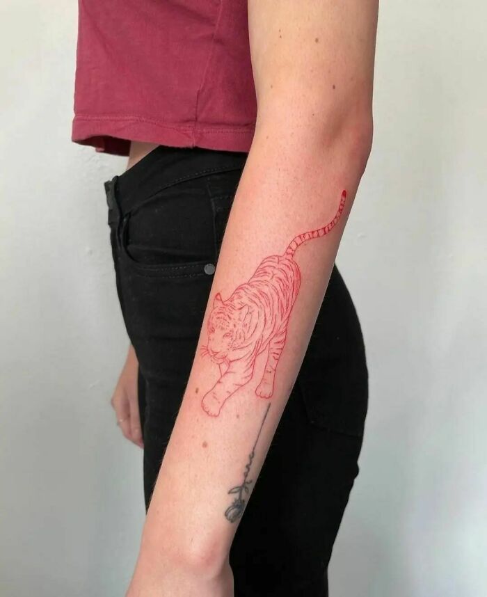 Red ink tattoo of a tiger on a person's forearm, showcasing intricate line work.