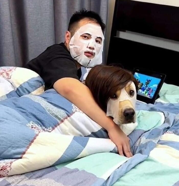 50 Times People Spotted Animals In Places They Shouldn't Be And Just Had To Document It