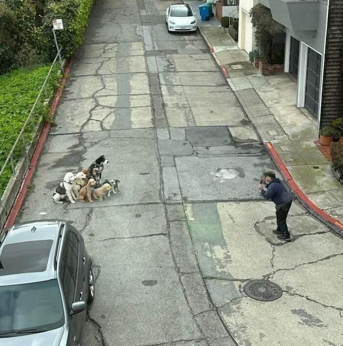 50 Times People Spotted Animals In Places They Shouldn't Be And Just Had To Document It