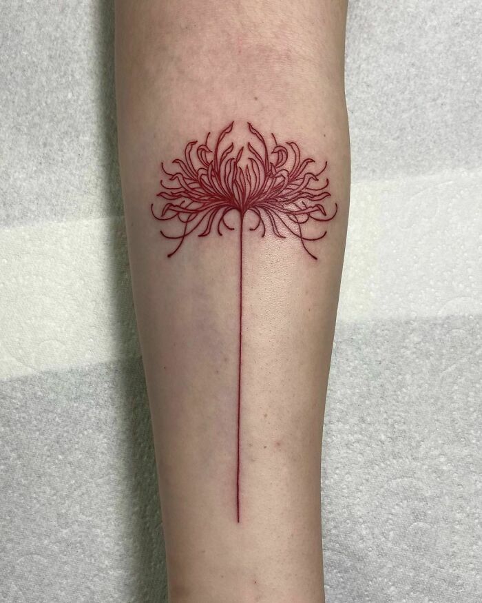 Red ink tattoo of a detailed chrysanthemum design on a person's forearm.