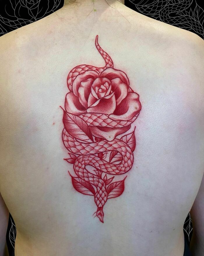 Red ink tattoo featuring a rose intertwined with a serpent on a person's back.
