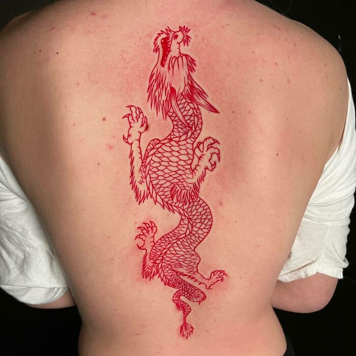 Red ink tattoo design of a dragon on a person's back.