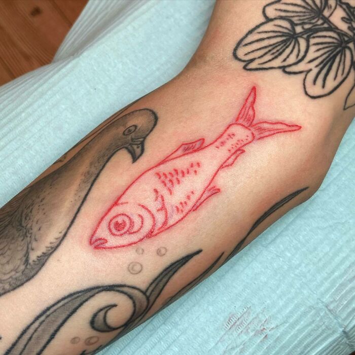 Red ink tattoo of a fish on an arm, surrounded by other black ink designs.