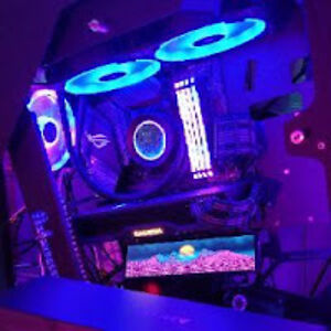 shizlefrizzle avatar