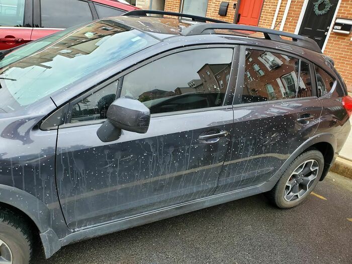 Si te preguntas por qué la ventanilla del conductor está limpia, es porque estaba bajada cuando el camión de al lado pasó por el charco