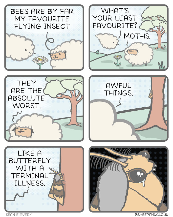 Sheep and Cloud discuss insects; sheep dislikes moths, calling them "butterflies with a terminal illness."
