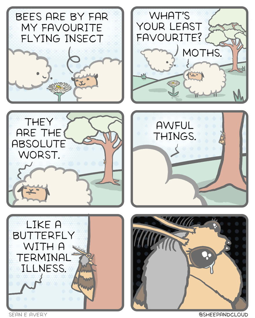 Moths