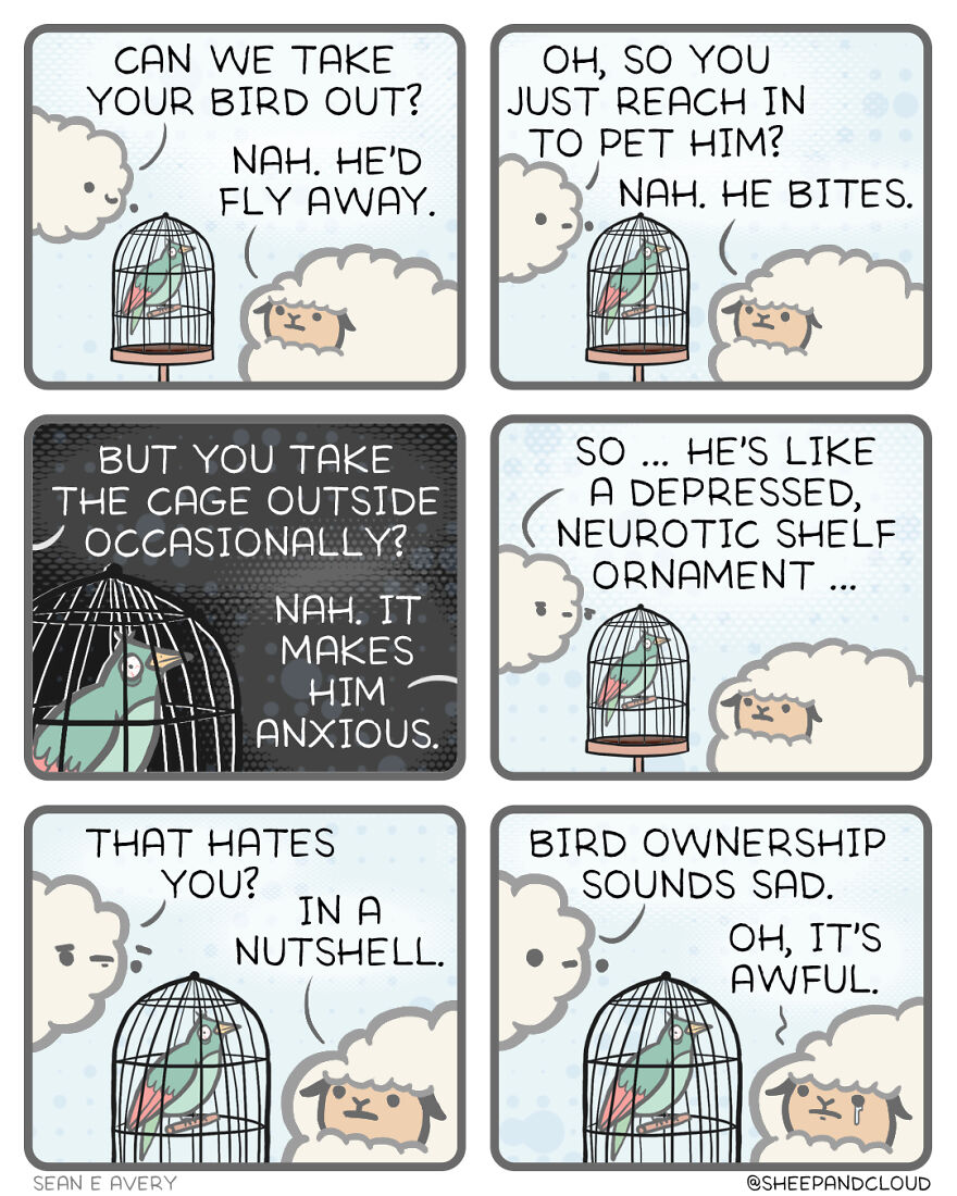 Bird Ownership